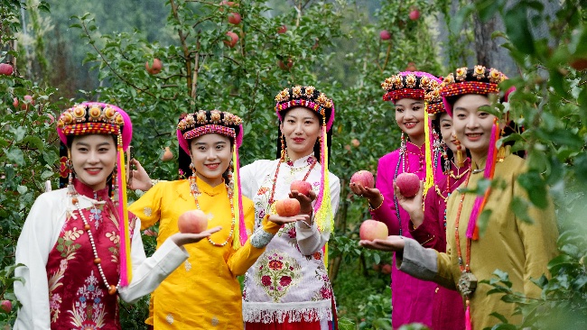 丹巴縣堅持把“美人脆”蘋果產業作為鄉村振興的主導產業之一。丹巴縣委宣傳部供圖